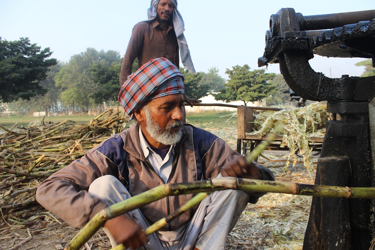 jaggery exporter 